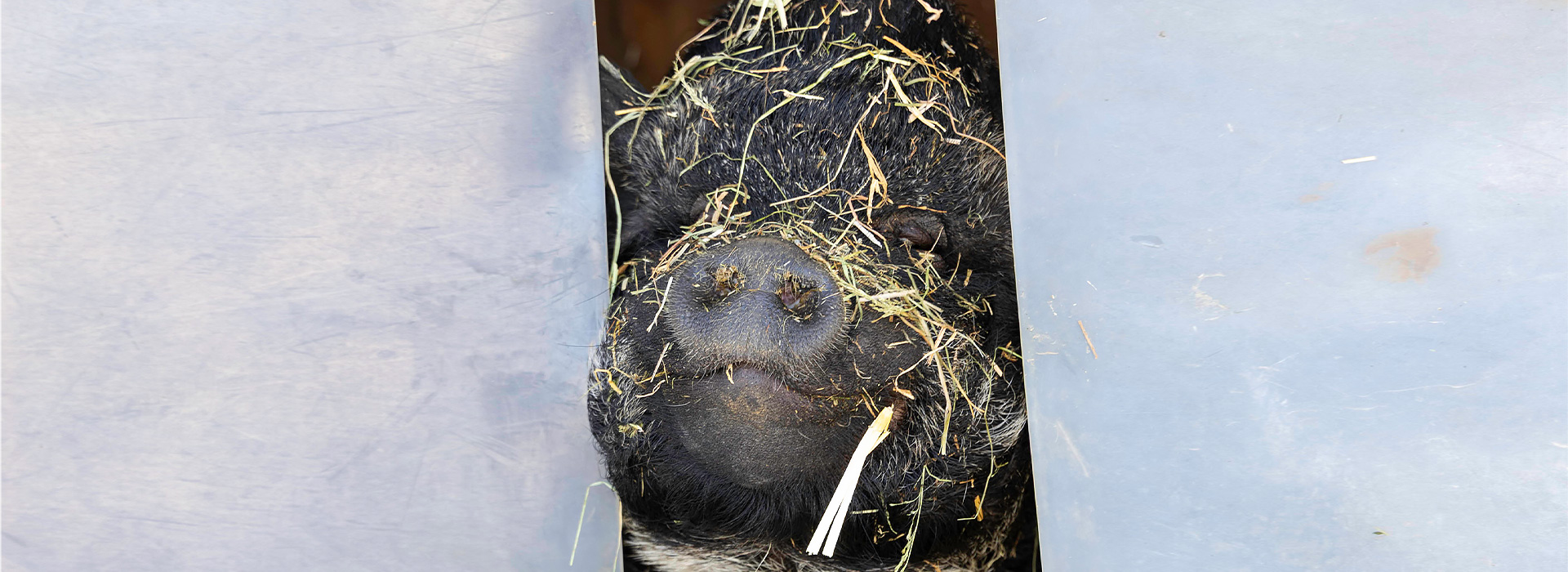 Jahresrückblick 2025