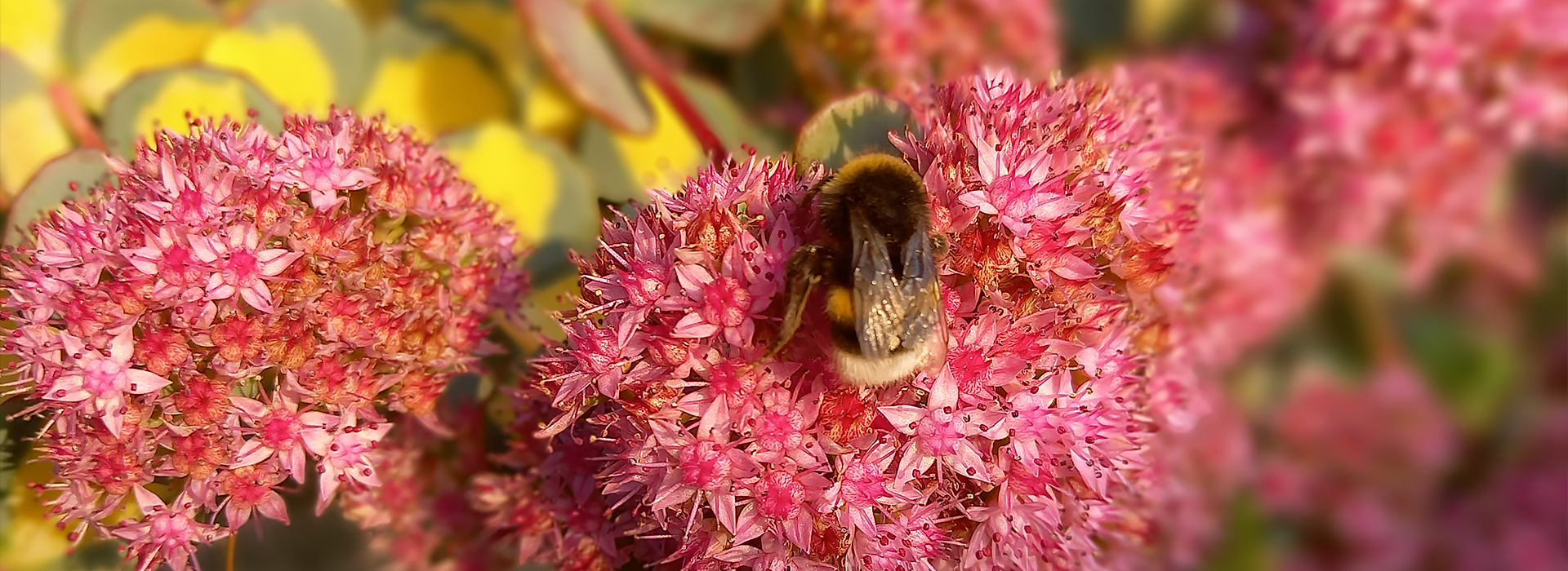 Private Hofführung auf dem Lebenshof KuhErde